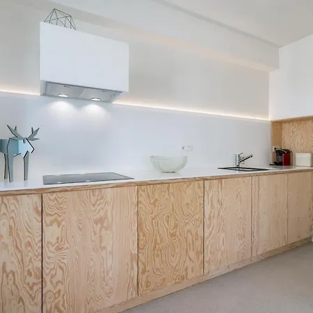 Apartment De Zwemmer - Practical, Optimized App With Garage *